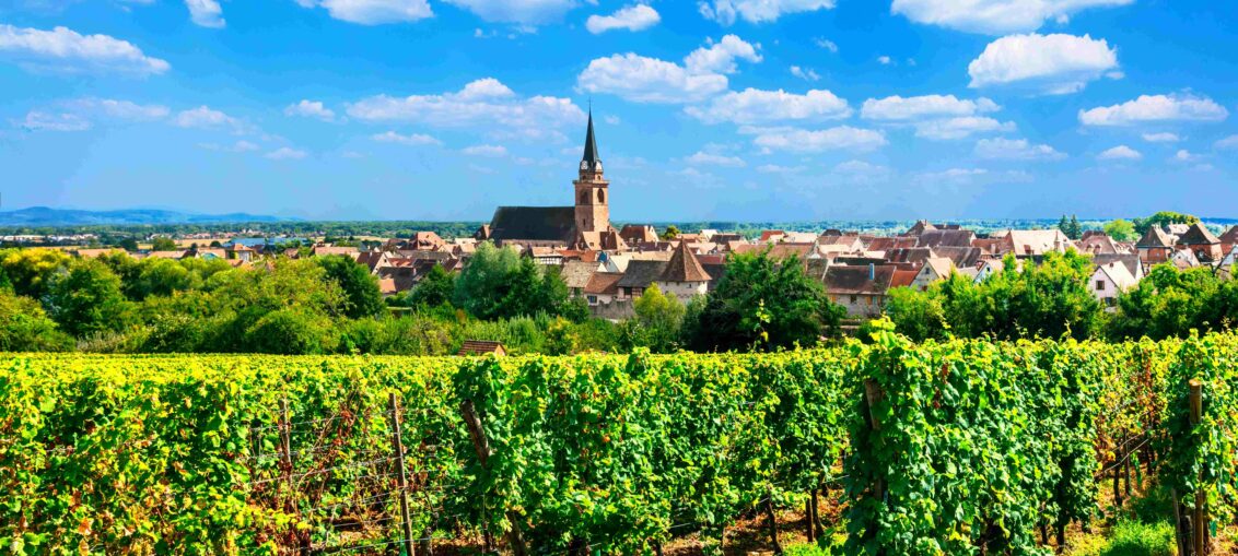 Découverte vignoble d'Alsace