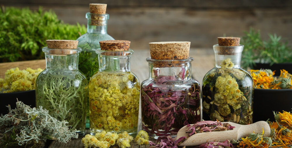 Se soigner avec des plantes